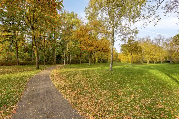 Foto 51 van Landschrijversveld 115