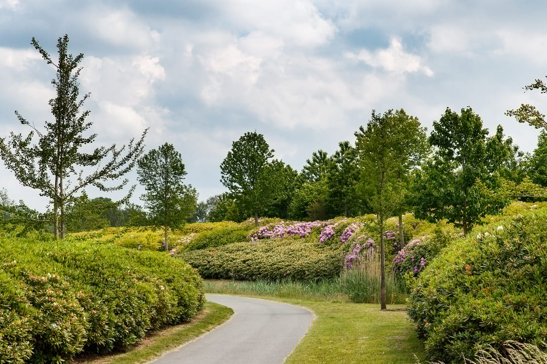 Photo 56 of Edmond Audranstraat 31