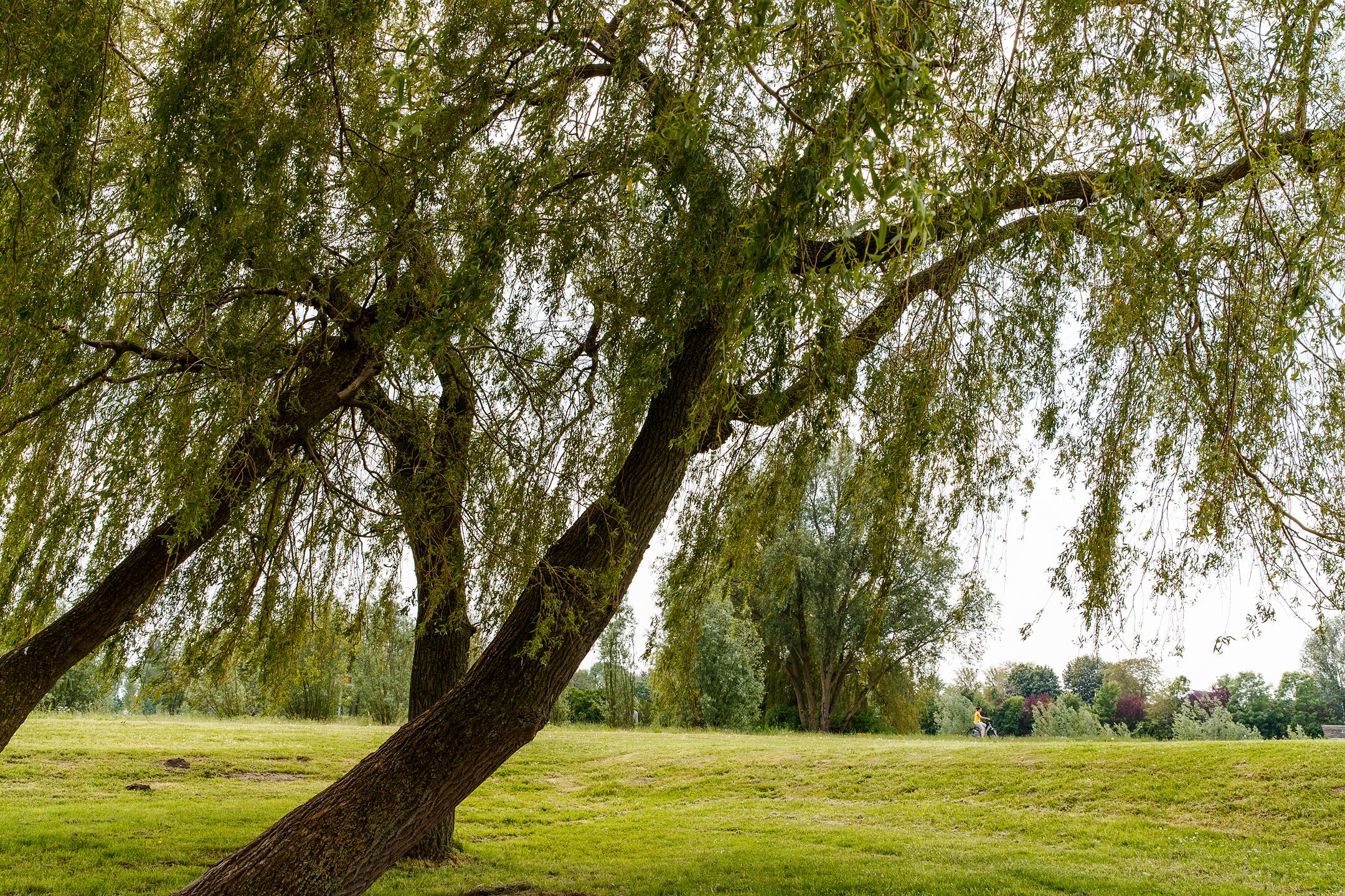 Photo 57 of Edmond Audranstraat 31