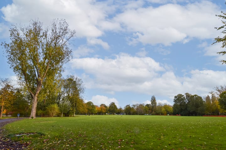 Foto 20 van Beukenplein 69