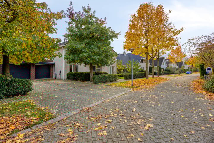 Foto 7 van Kiwistraat 20