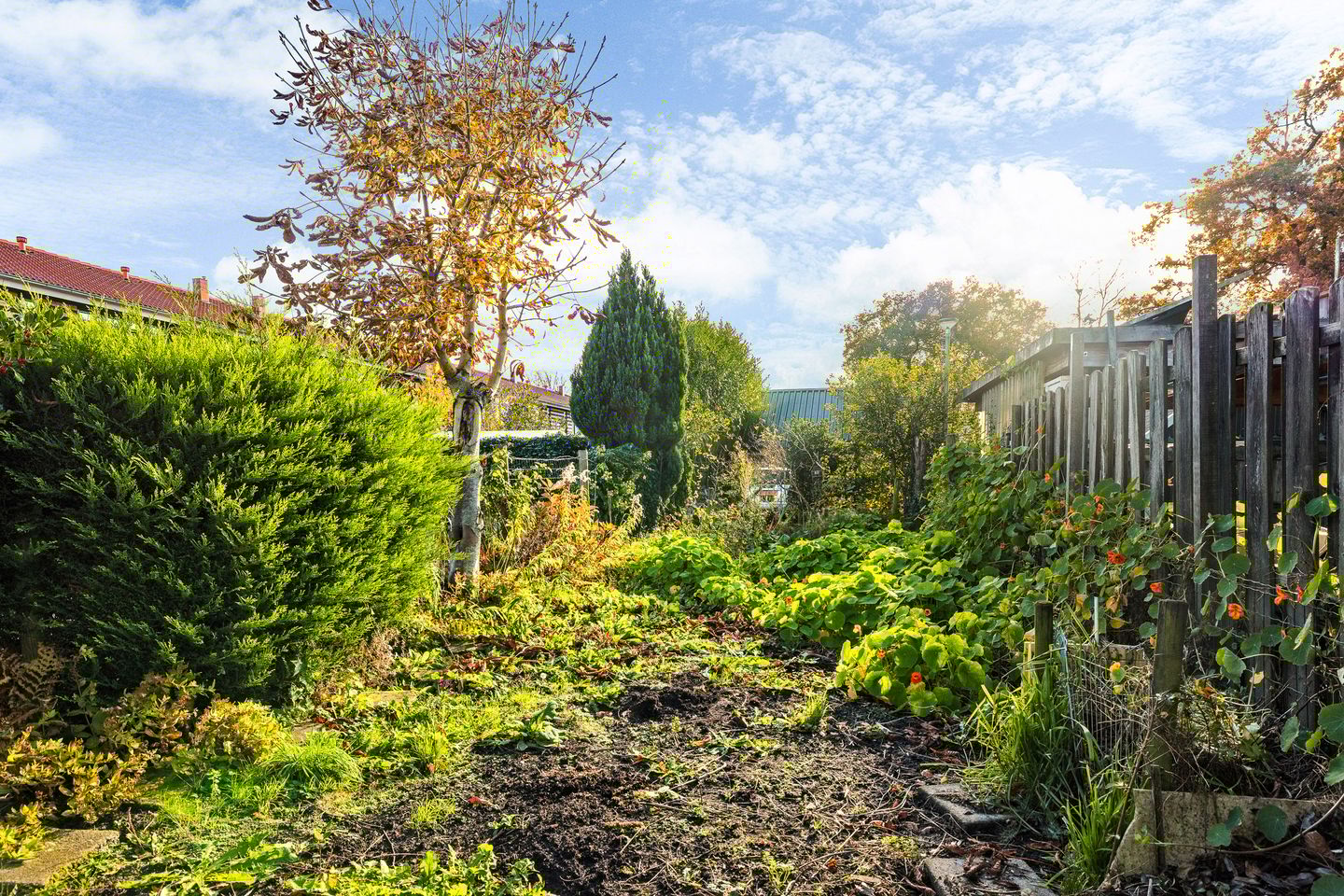 Photo 4 of Vogelzang 112