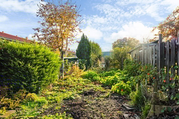 Foto 4 van Vogelzang 112