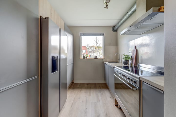 Foto 3 van Wedesteinbroek 2009