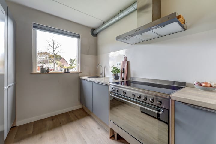 Foto 13 van Wedesteinbroek 2009