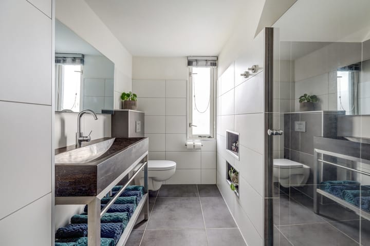 Foto 24 van Wedesteinbroek 2009