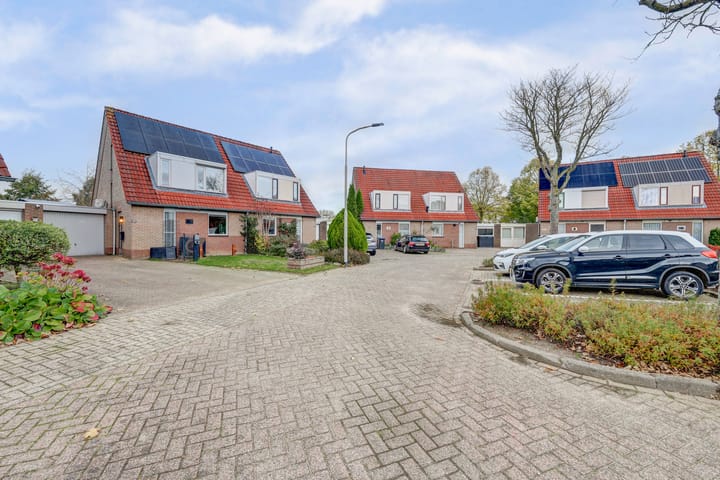 Foto 38 van Wedesteinbroek 2009