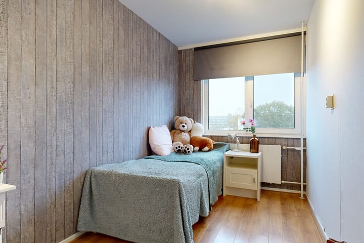 Photo 13 of Plutostraat 134