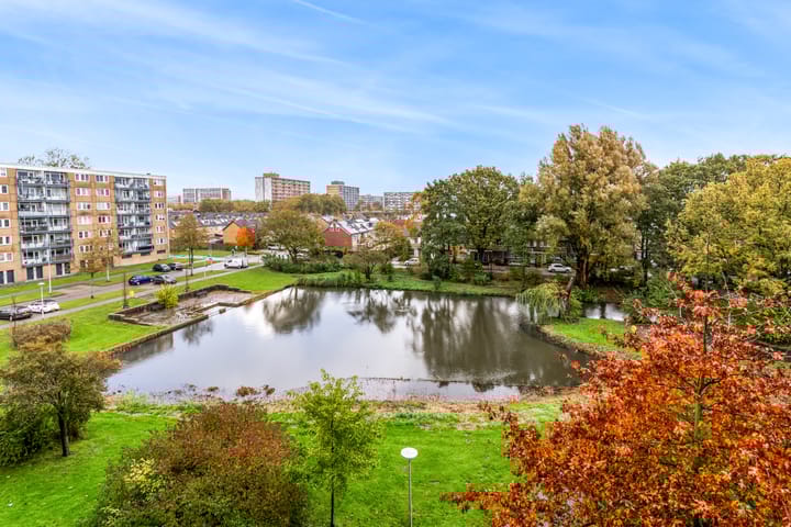 Photo 23 of Plutostraat 134