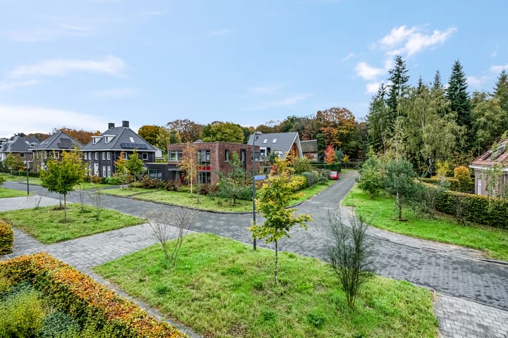 Photo 51 of Piet Romboutlaan 84