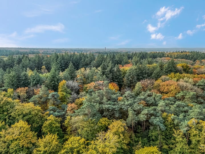 Photo 56 of Piet Romboutlaan 84