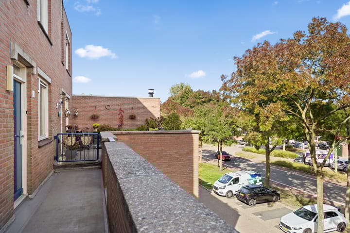 Foto 32 van Condor 23