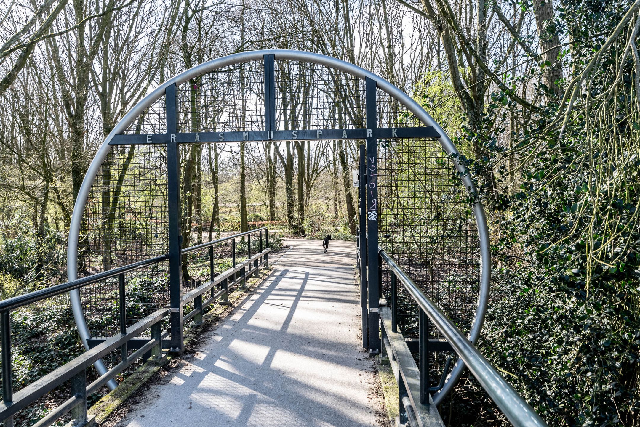 Photo 36 of Bloys van Treslongstraat 36-2