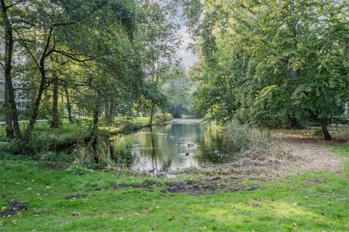 Photo 53 of Stadzicht 21