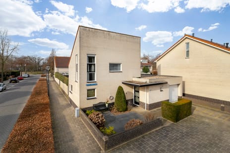 undefined main image