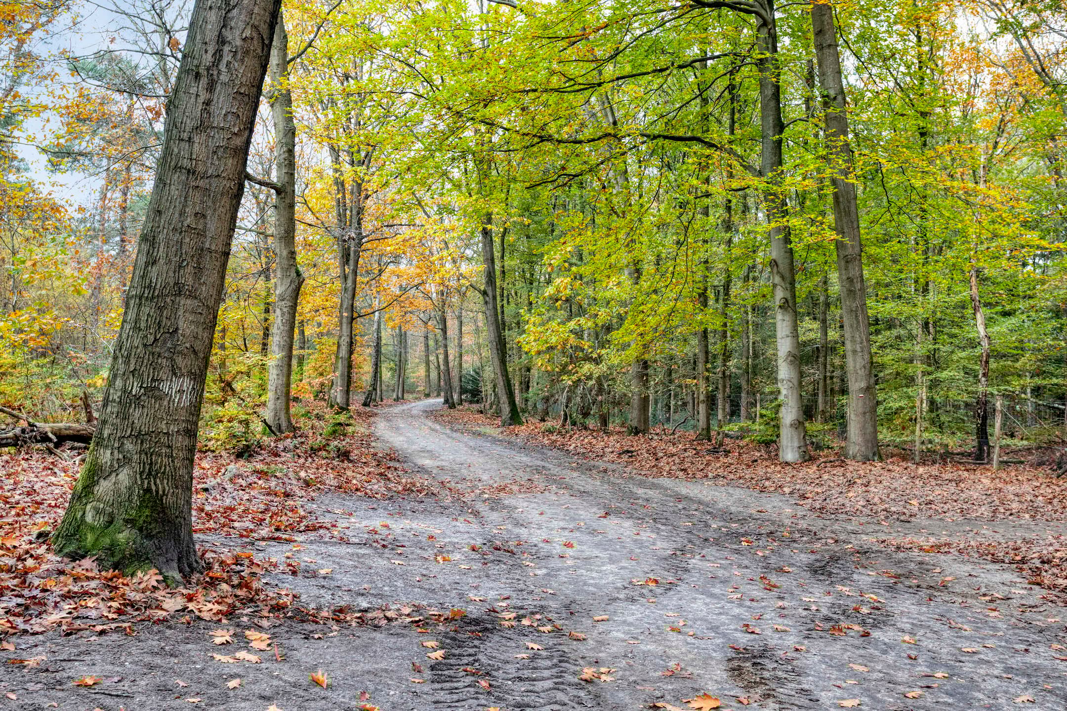 Foto 45 van Tooropstraat 24