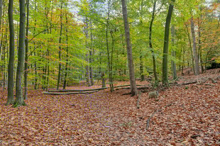 Photo 46 of Tooropstraat 24