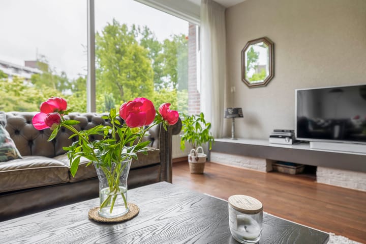 Photo 36 of Plutostraat 33