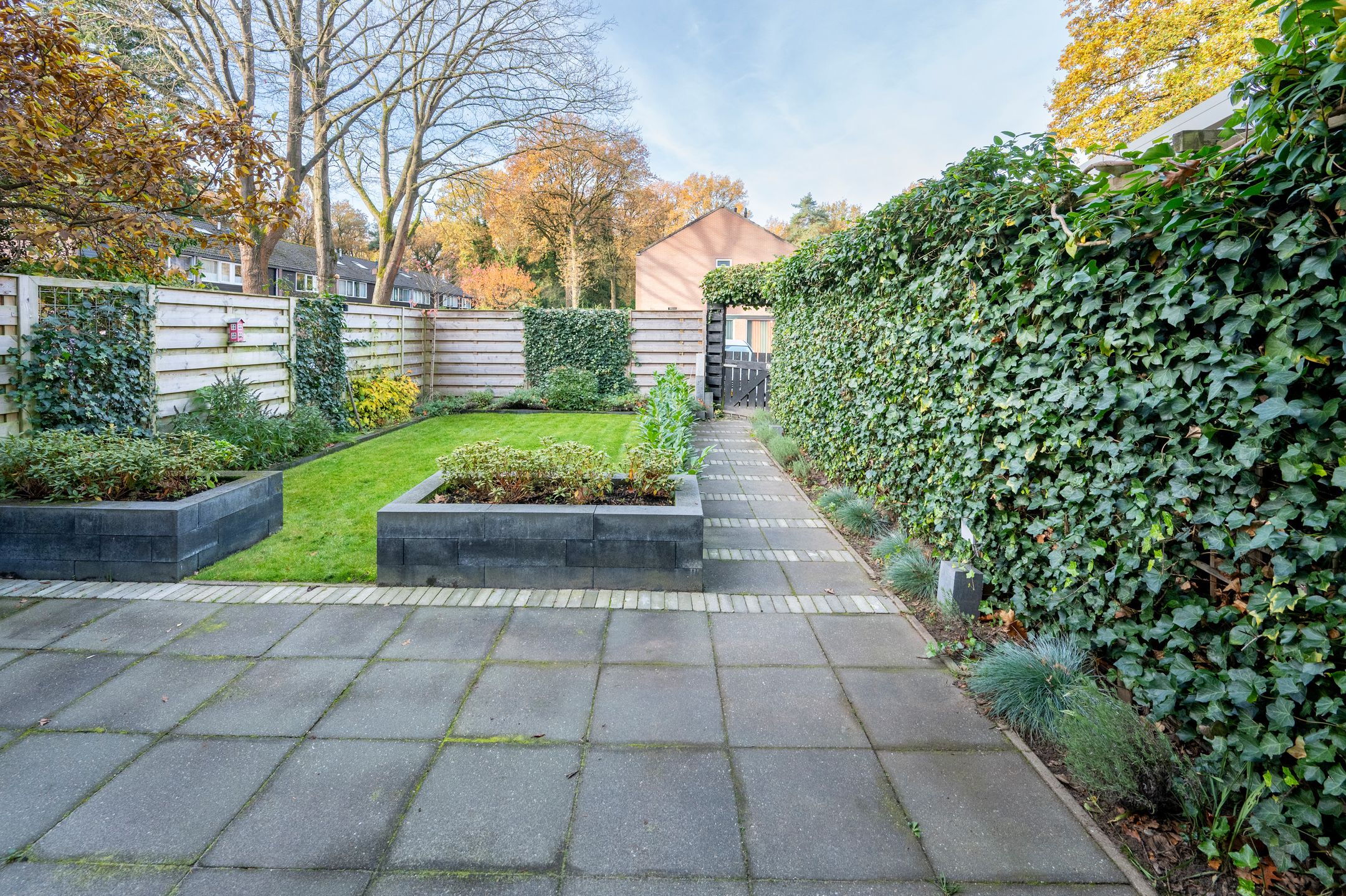 Foto 6 van Laan van de Bork 230