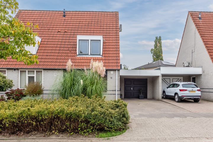 Foto 5 van Bladkoninkje 11