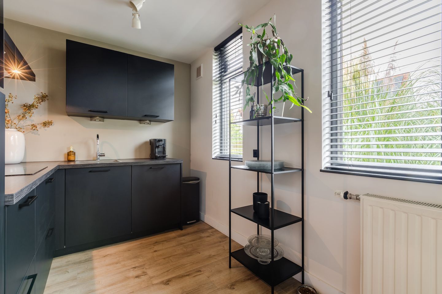 Foto 10 van Bladkoninkje 11