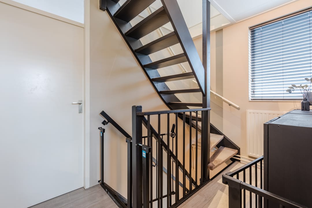 Foto 23 van Bladkoninkje 11