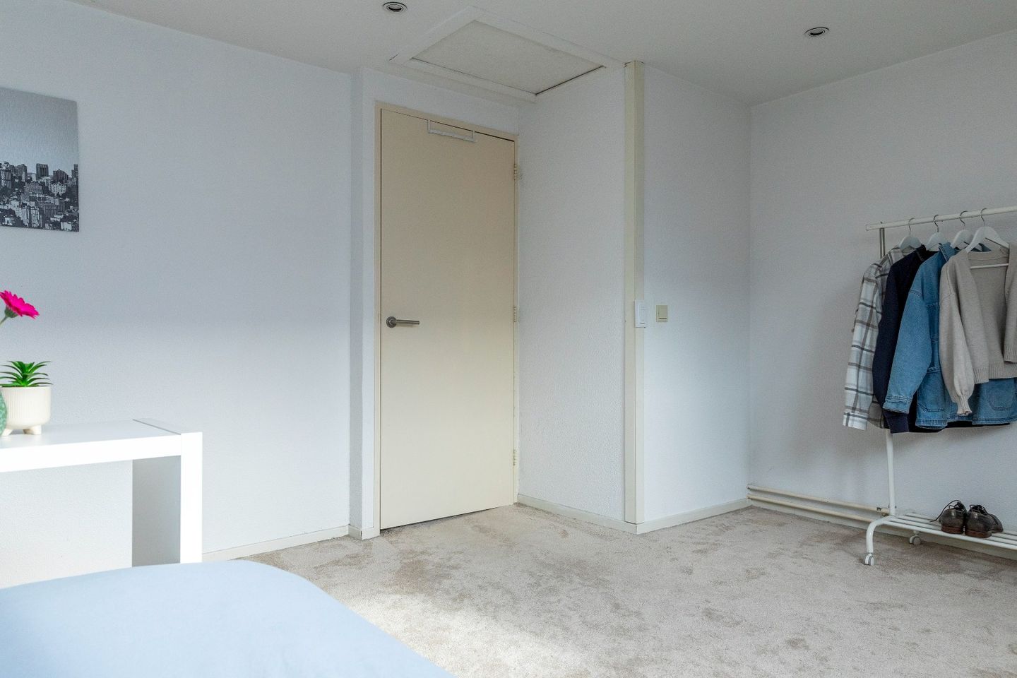 Foto 50 van Betuwestraat 51