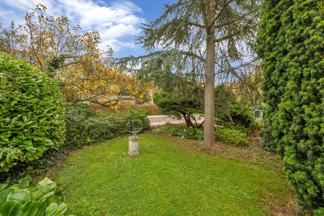 Foto 41 van Lumeyweg 41