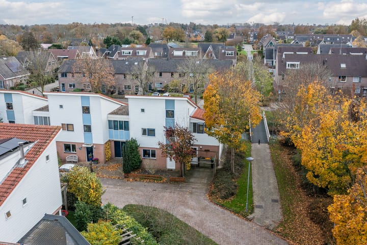 Photo 58 of Schepenen 2