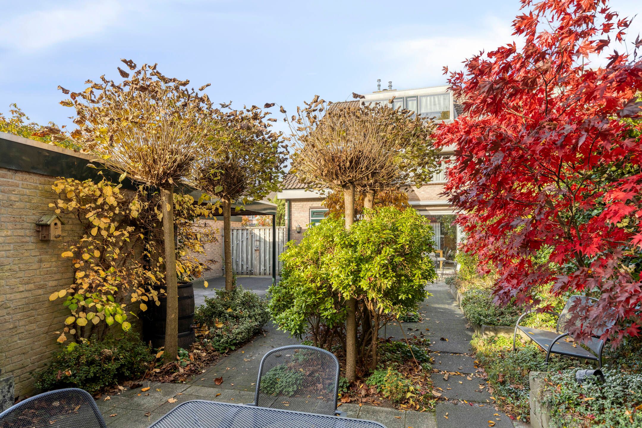 Foto 24 van Sweelincklaan 2