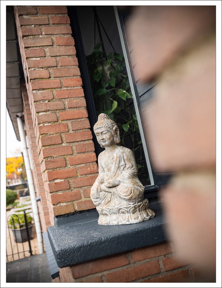 Foto 30 van Koolmees 137