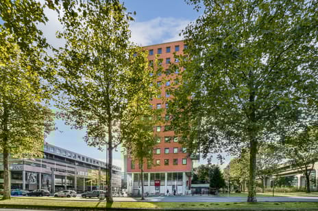 undefined main image