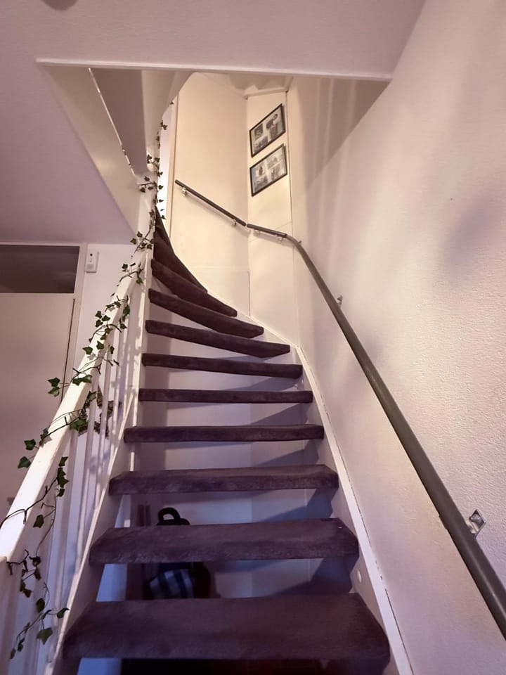 Foto 26 van Delacroixstraat 11