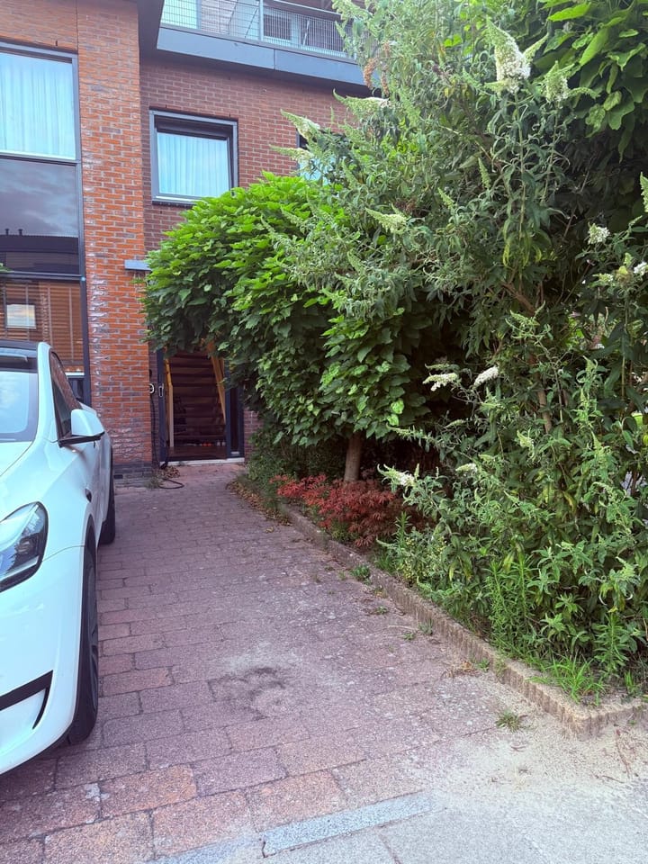 Foto 8 van Delacroixstraat 11