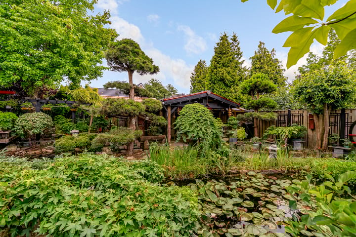 Foto 40 van Gaasterland 8