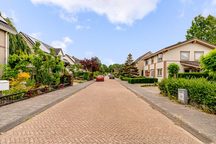 Foto 42 van Gaasterland 8