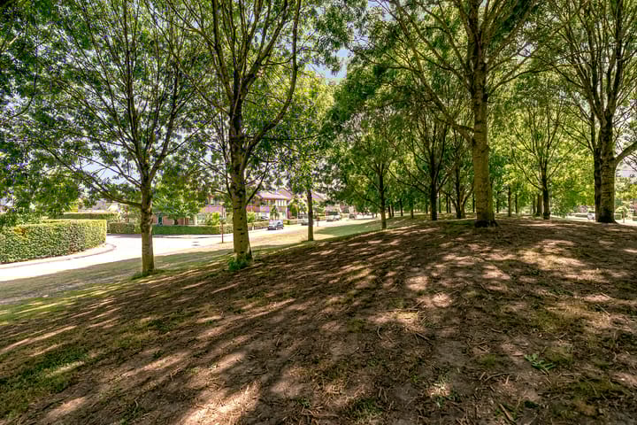 Foto 43 van Gaasterland 8