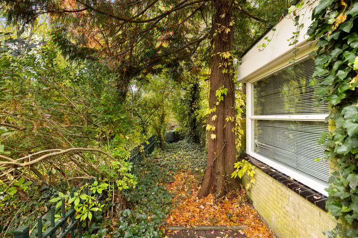 Photo 3 of Zuiderzeepark 47