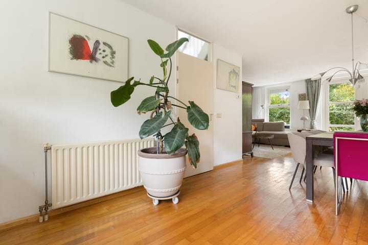 Photo 17 of Zuiderzeepark 47