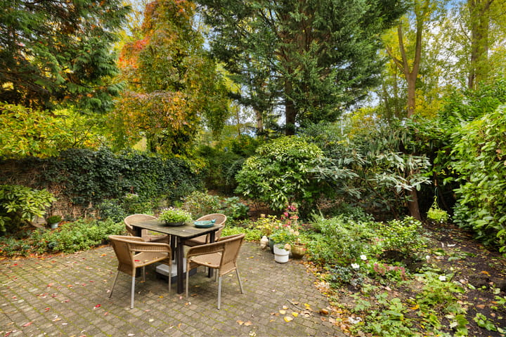 Photo 19 of Zuiderzeepark 47