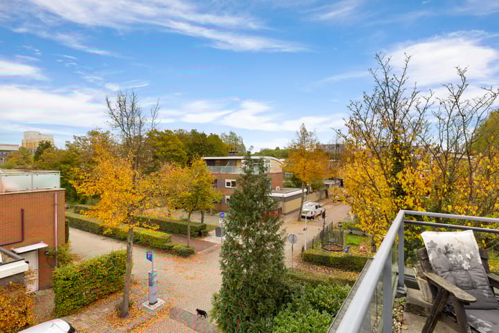 Photo 44 of Zuiderzeepark 47