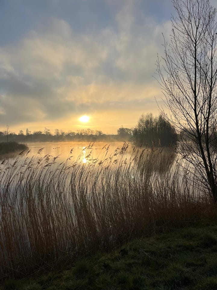 Photo 58 of Melksloot 18