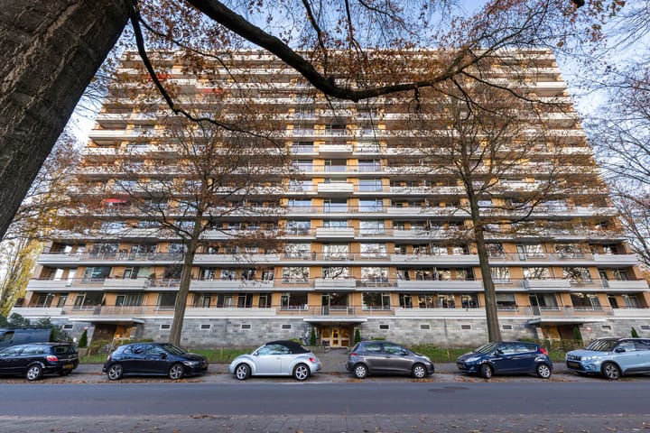 Henri Dunantlaan 103 main image