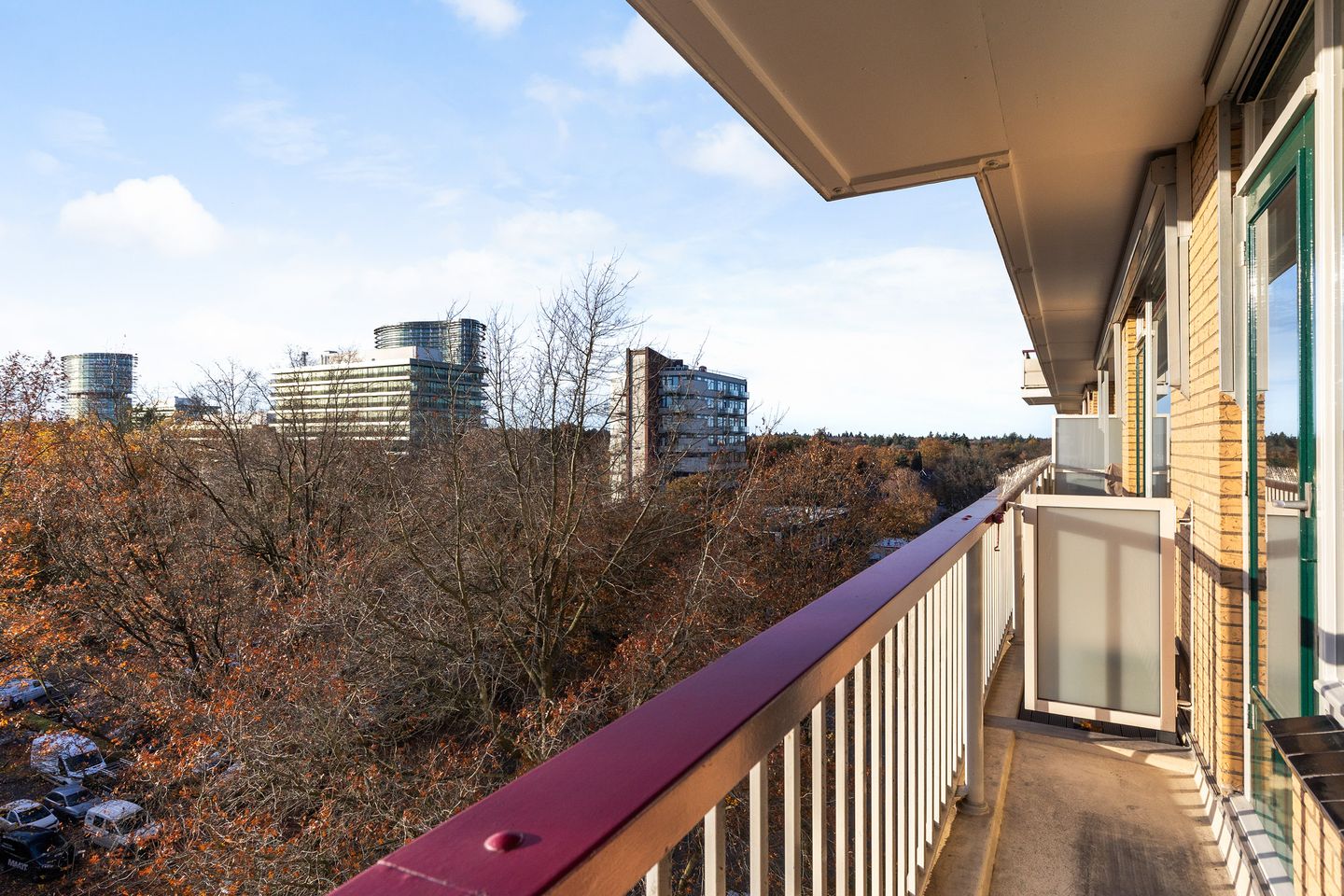 Foto 4 van Henri Dunantlaan 103