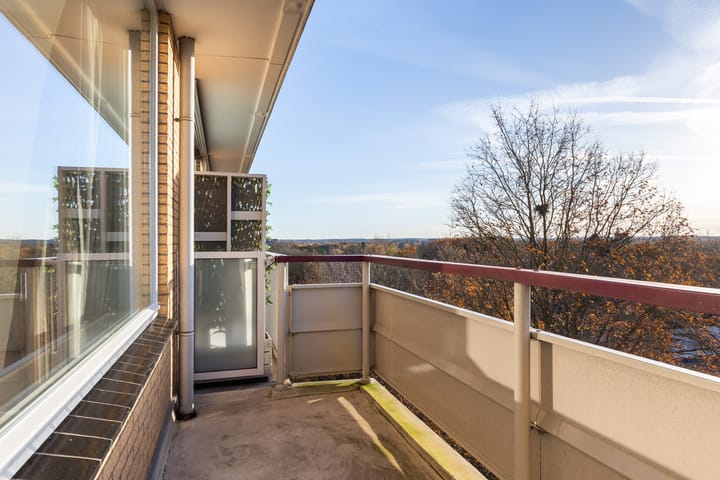 Photo 12 of Henri Dunantlaan 103