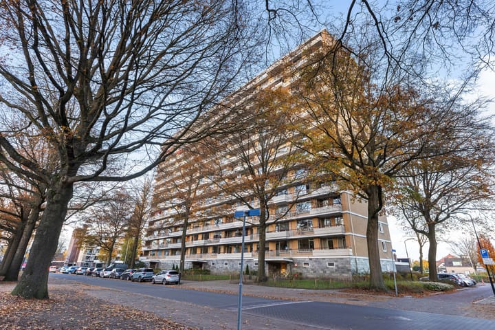 Photo 24 of Henri Dunantlaan 103