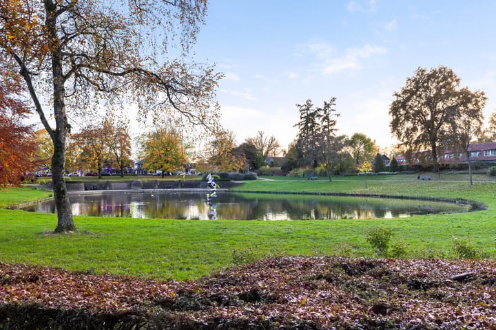 Photo 27 of Henri Dunantlaan 103