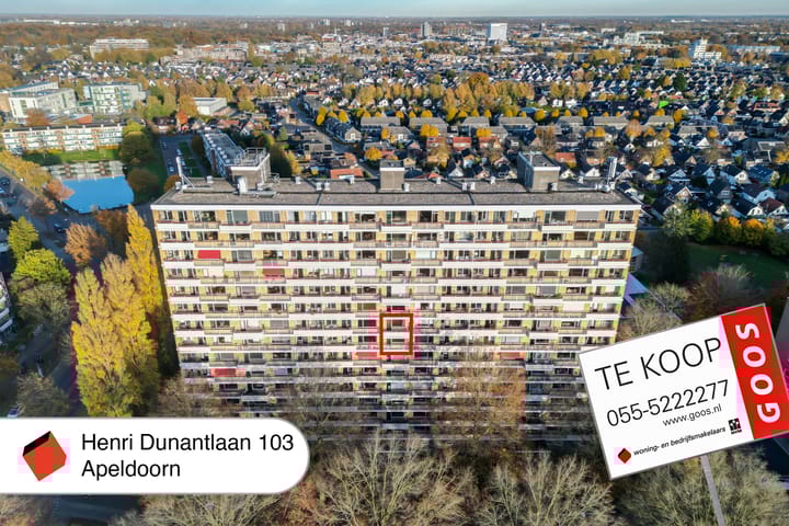 Photo 28 of Henri Dunantlaan 103