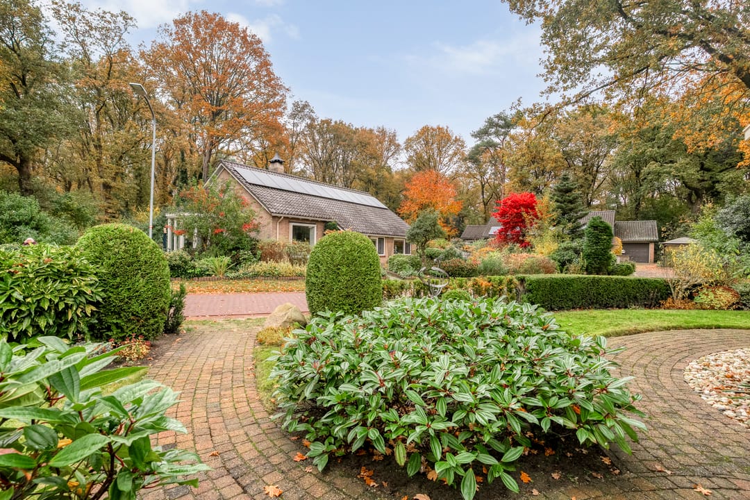 Foto 7 van Bosweg 29