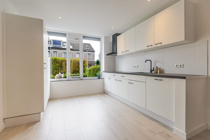 Photo 10 of Reaal 52